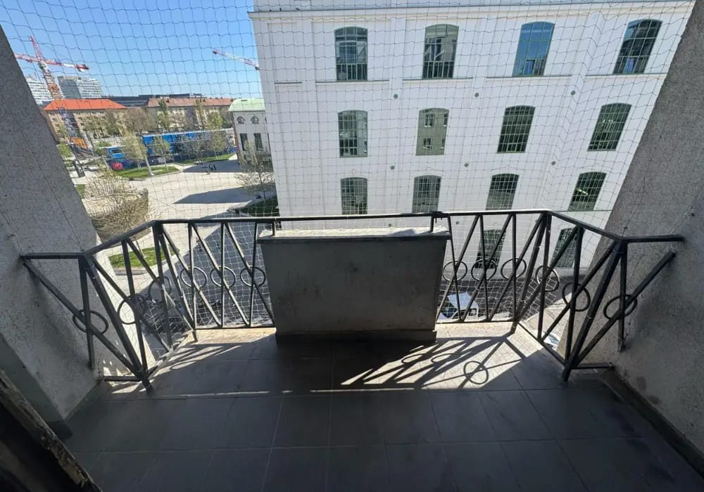 The Ultimate Guide to Bird Control Solutions for Buildings in Dubai