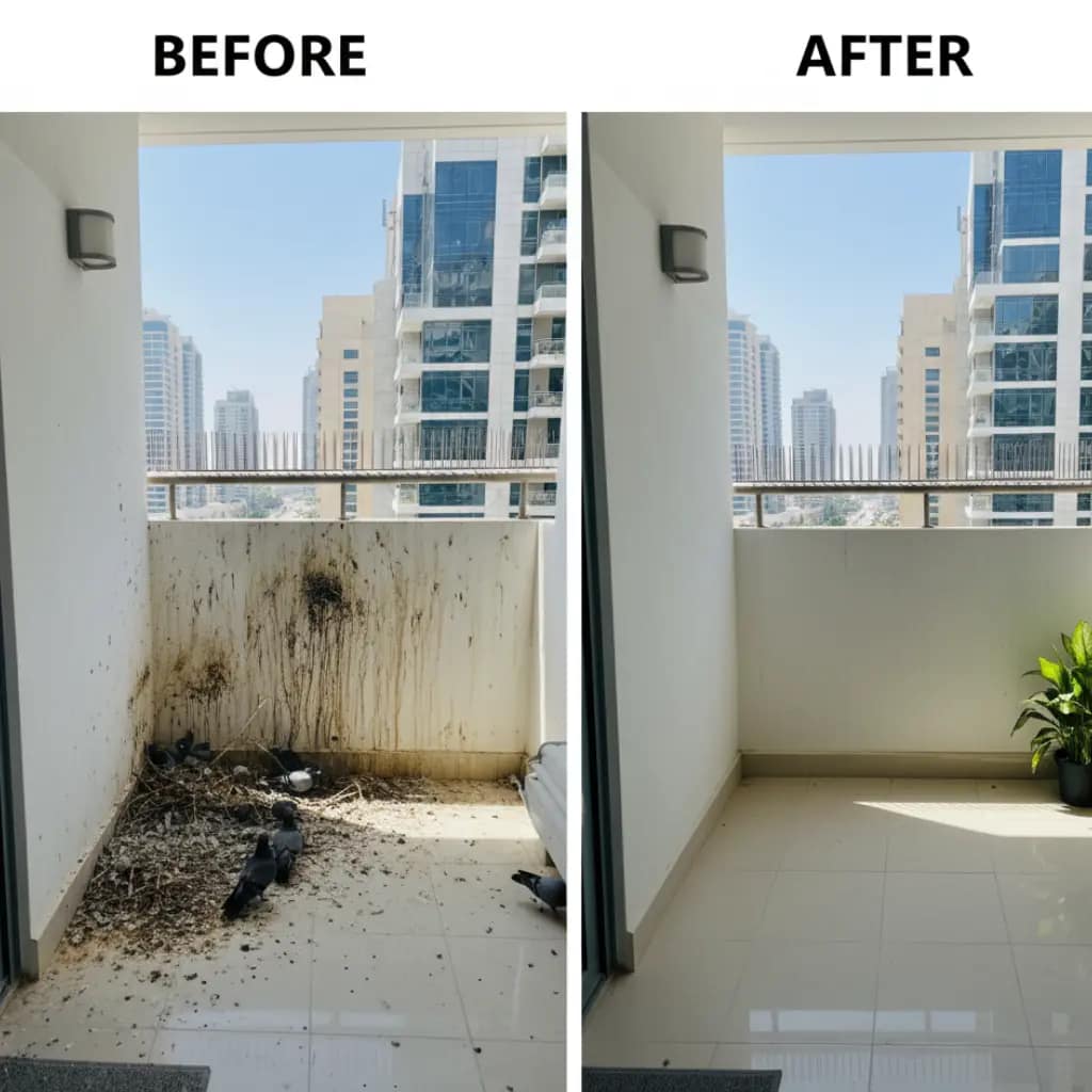Bird scarer services before and after results in Dubai property