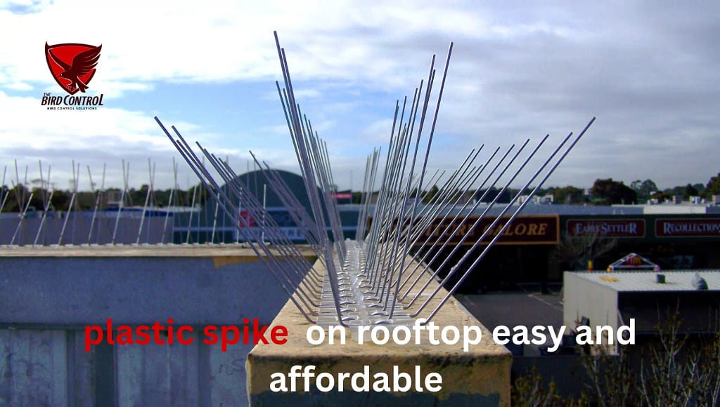 plastic bird spikes in dubai