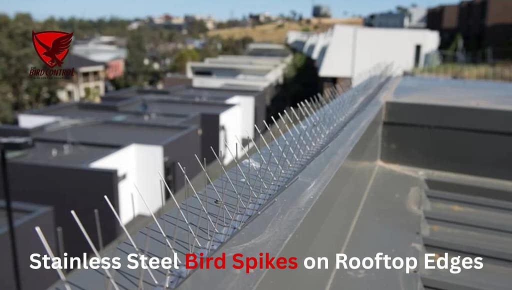 stainless steel bird spikes
