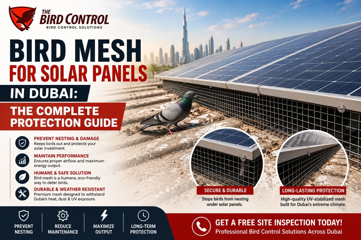 You are currently viewing Bird Mesh for Solar Panels in Dubai: The Complete Protection Guide