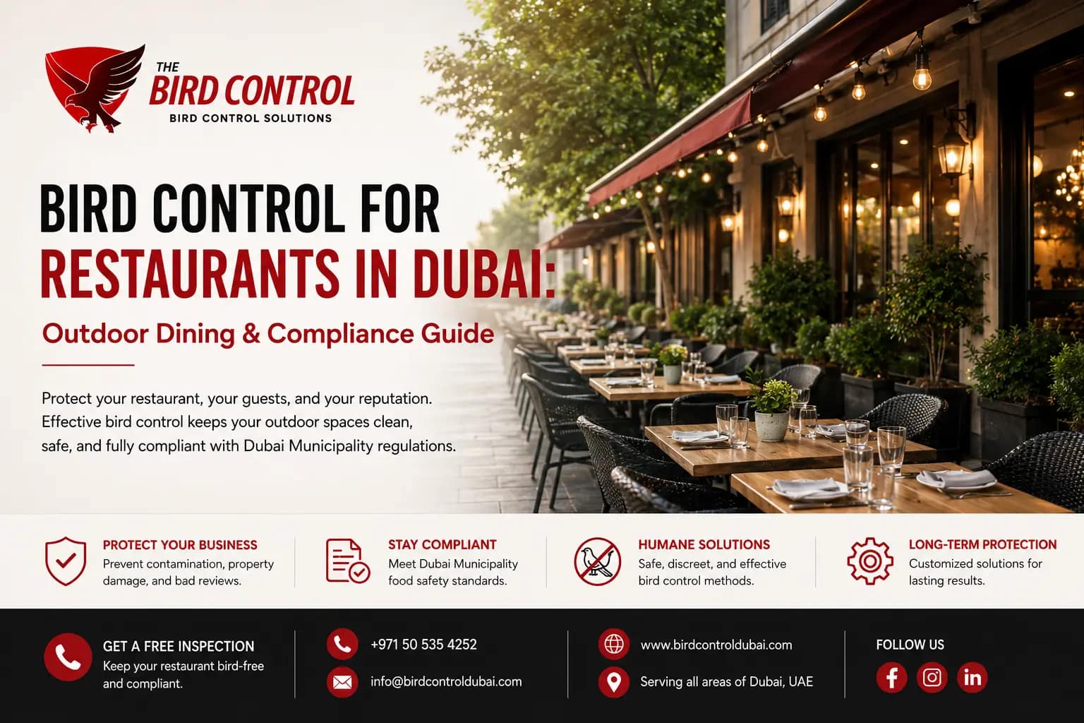 You are currently viewing Bird Control for Restaurants in Dubai