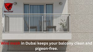 Read more about the article Wire Mesh in Dubai – A Lasting Solution for Bird Problems