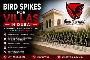 Read more about the article Bird Spikes for Villas in Dubai — Permanent Pigeon Protection for Your Property