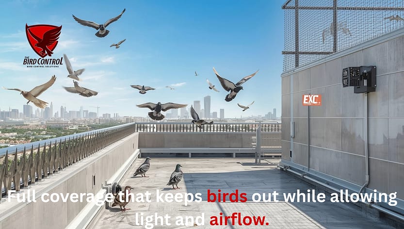 Effective Bird Deterrent System in Dubai: Keep Your Property Pigeon-Free 3 Bird net